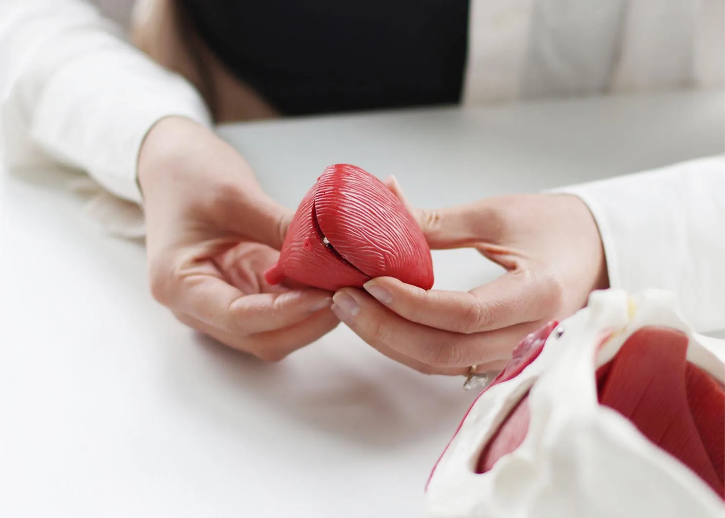 An image of Dr. Kylie holding and study a model of the human bladder